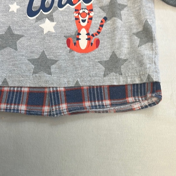 Disney - Gray Long Sleeve Tee with Tigger design - Picture 5 of 6